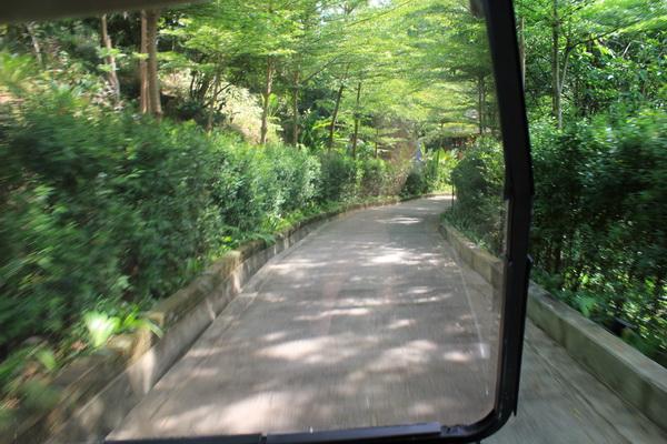 IMG_0448_resize.JPG